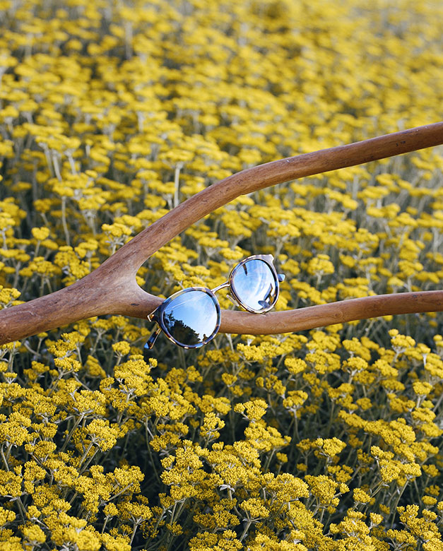 Gafas de sol